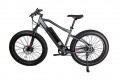 Glarewheels - Electric Mountain Bike Fat Tire with 40 mile range and up to 25mph. - GRAY